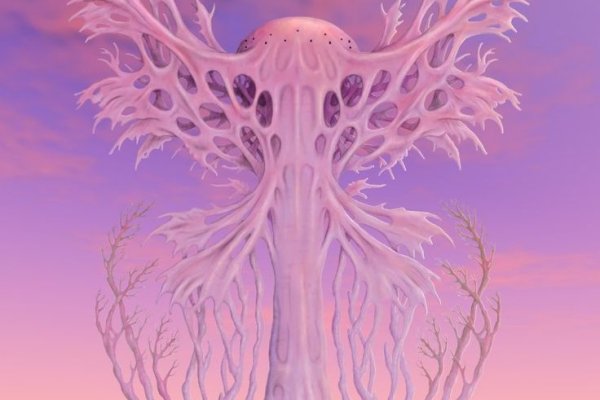 Kraken адрес onion
