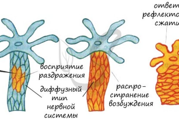 Маркетплейс кракен kraken